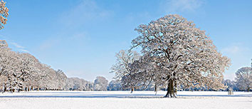欧国联盘点：看看那些背后的故事